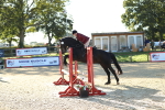 SBM_14886