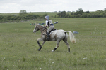 BVHT 140517  IXC -763