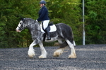 WJ5_9110