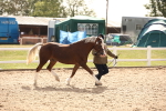 SBM_08144
