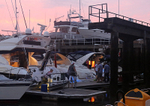 140913 SHAMROCK QUAY PROMS NIGHT WT7A6503
