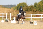 SBM_017775