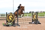 BPP_3296