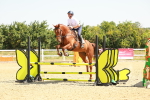 SBM_000565