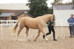 SBM_07621