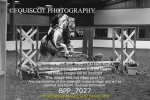 BPP_7027