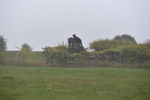 WJ5_7370