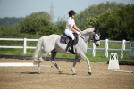 SBM_007387