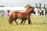 DSC04548