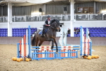 SBM_003428
