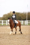 SBM_001939