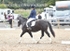 JAC_6331