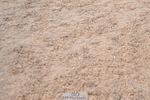 240727A-093623-02734