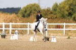 SBM_018529