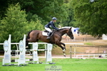 952-Anna.Johannson-Higher.Way.Skylark portfolio