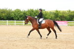 SBM_006534