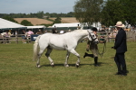 SBM_07630