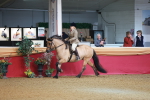 SBM_09476