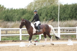 SBM_003608