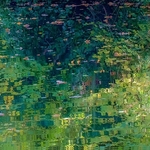 Reflections on the Canal