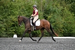 Lyford Stud Dressage Championships 07-09-24 portfolio