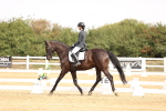 SBM_012906