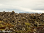 Snaefellsnesvegur lava field 3