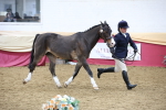 SBM_23641
