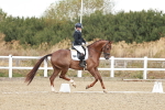 SBM_009447