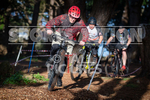 MTB XC Winter RND-6-2