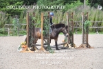BPP_9687