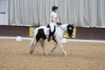 SBM_009310
