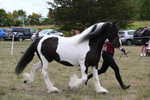 WJ6_5516