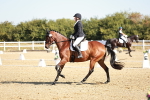 SBM_016914