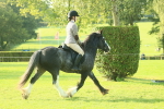 SBM_59289