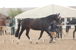 SBM_07628