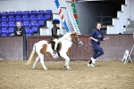 SBM_000029