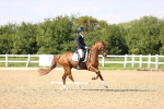 SBM_002779