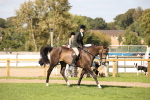 SBM_50058