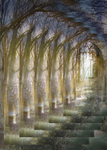 F31 Woodland Cathedral  A4