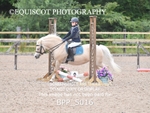 BPP_5016