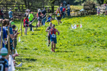 The Finish-597