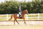 SBM_008481