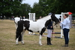 WJ6_4376