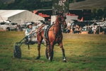 DSCF7441