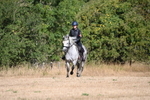 WJ6_7687
