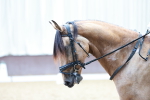 SBM_000872