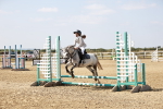 SBM_000338