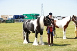 SBM_05519