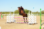 SBM_000567